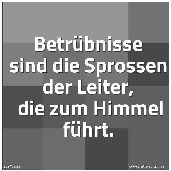 Quadratisches Spruchbild: Betrübnisse sind die Sprossen der Leiter, die zum Himmel führt.