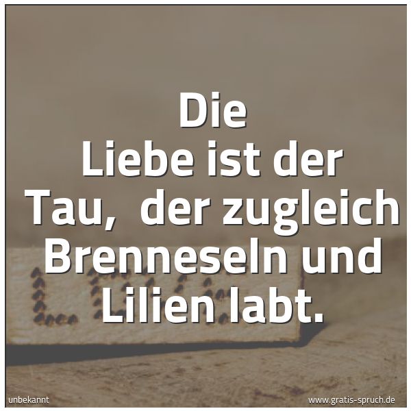 Quadratisches Spruchbild: Die Liebe ist der Tau, der zugleich Brenneseln und Lilien labt.