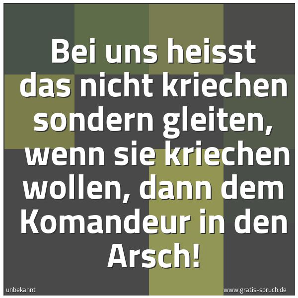 Quadratisches Spruchbild: Bei uns heisst das nicht kriechen sondern gleiten, wenn sie kriechen wollen, dann dem Kom …