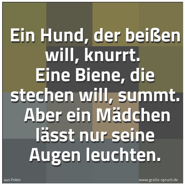 Quadratisches Spruchbild: Ein Hund, der beißen will, knurrt.  Eine Biene, die stechen will, summt.  Aber ein Mädchen …