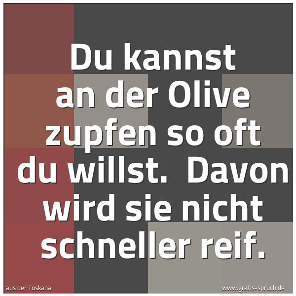 Quadratisches Spruchbild: Du kannst an der Olive zupfen so oft du willst. Davon wird sie nicht schneller reif.