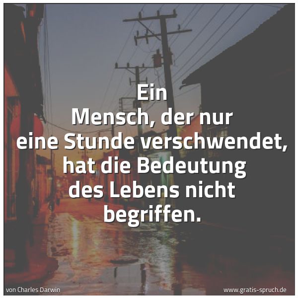 Quadratisches Spruchbild: Ein Mensch, der nur eine Stunde verschwendet, hat die Bedeutung des Lebens nicht begriffe …