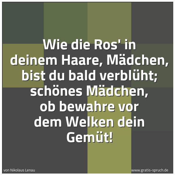 Quadratisches Spruchbild: Wie die Ros' in deinem Haare, Mädchen, bist du bald verblüht; schönes Mädchen, ob bewahre …