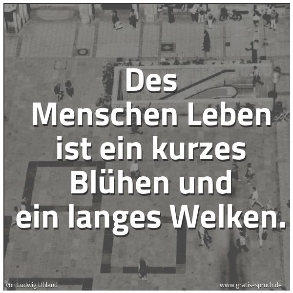 Quadratisches Spruchbild: Des Menschen Leben ist ein kurzes Blühen und ein langes Welken.