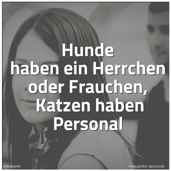 Quadratisches Spruchbild: Hunde haben ein Herrchen oder Frauchen, Katzen haben Personal