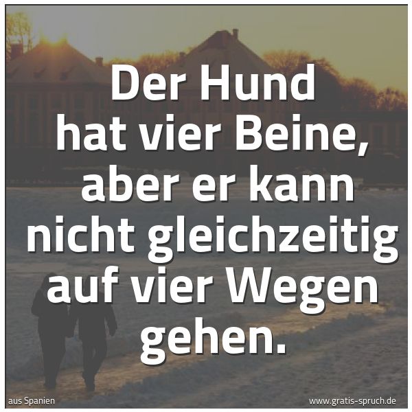 Quadratisches Spruchbild: Der Hund hat vier Beine, aber er kann nicht gleichzeitig auf vier Wegen gehen.